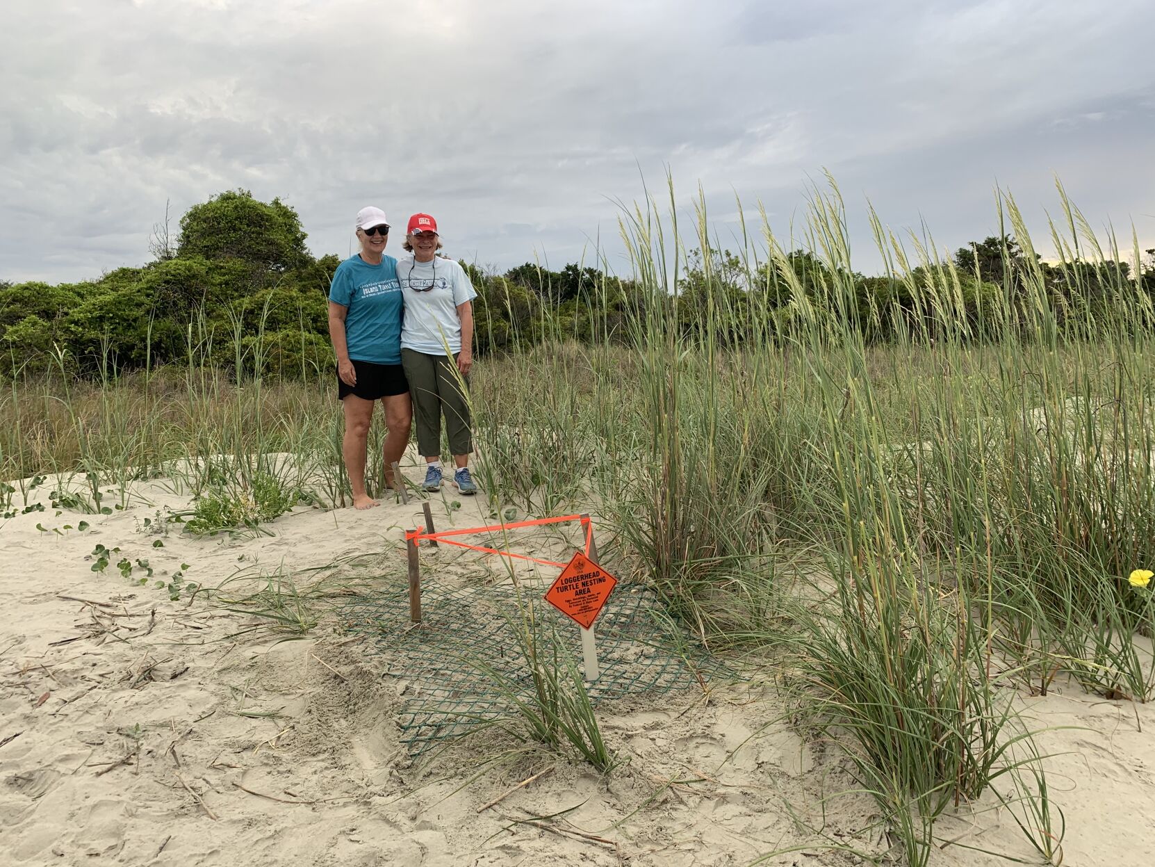 Island Turtle Team volunteers